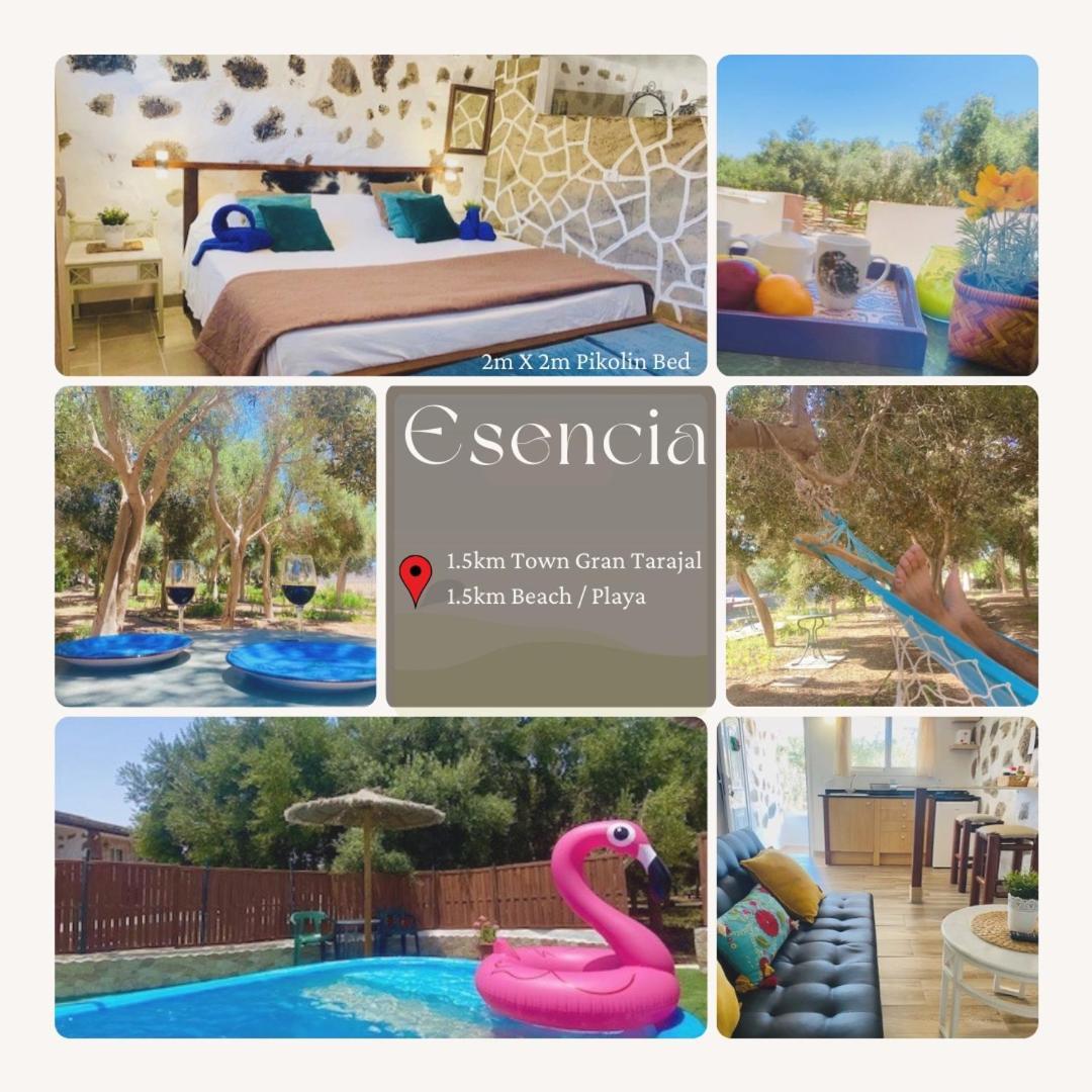 Bungalow Alma #Only Adults El Charco  Buitenkant foto